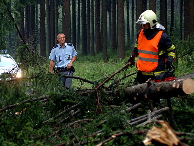 Padly strom pernink nejdek 2010 002