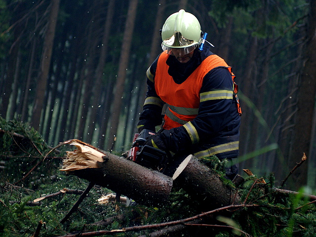 Padly strom pernink nejdek 2010 003