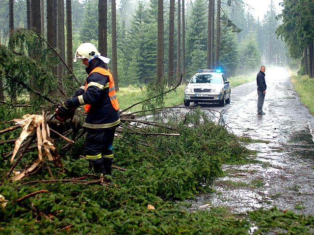 Padly strom pernink nejdek 2010 008