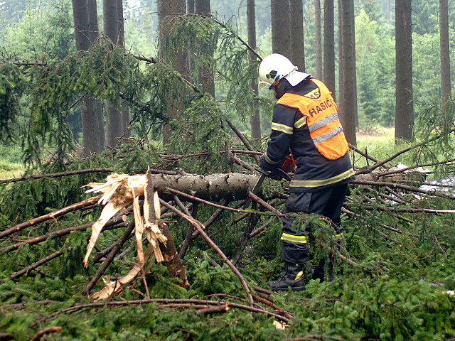 Padly strom pernink nejdek 2010 009